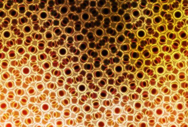 Dairesel hafif turuncu vektör şablonu. Parlak renkli soyut çemberlerin olduğu bir resim. İş ilanınız için tasarım.