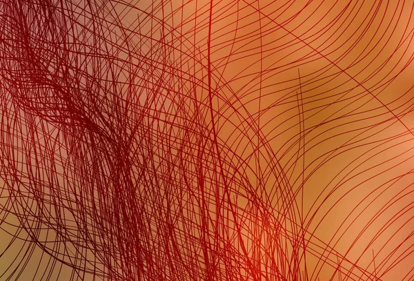 Modèle Vectoriel Orange Clair Avec Des Lignes Douces Une Toute — Image vectorielle