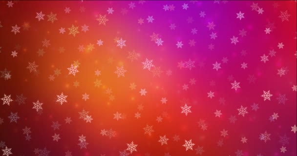 Video Animace Ledovými Vločkami Hvězdami Barevný Dekorativní Design Vánočním Stylu — Stock video
