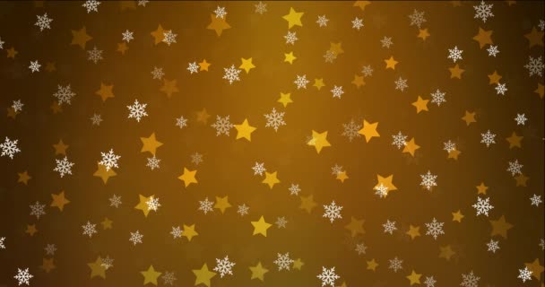 Animação Vídeo Com Flocos Neve Gelo Estrelas Design Decorativo Colorido — Vídeo de Stock