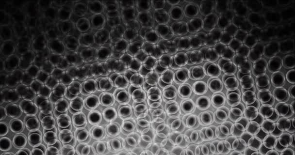 Абстрактная Анимация Светящимися Кругами Черном Фоне — стоковое видео