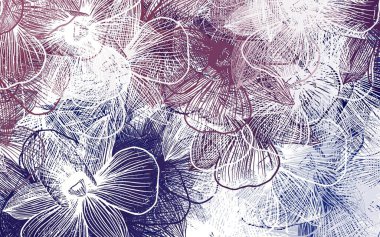 Açık Mor, çiçekli pembe vektör. Beyaz arka planda gradyanı olan çiçekler. Web siteleri ve pankartlar için desenli desen.