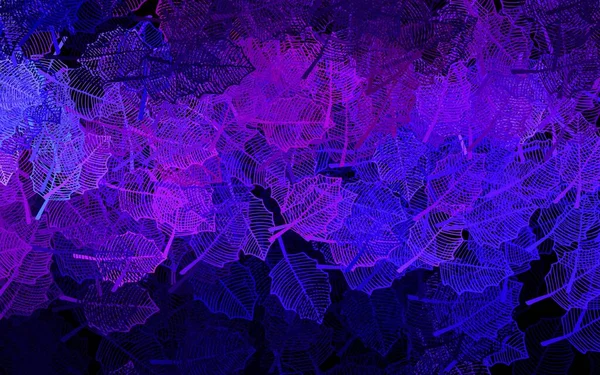 深紫色 粉红矢量 叶型自然图案 色彩斑斓的图画 带有叶子 花朵的涂鸦风格 设计负责人的模式 — 图库矢量图片