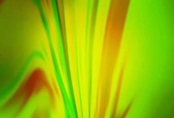 Hellgrüner Gelber Vektor Moderner Eleganter Hintergrund Eine Elegante Helle Illustration — Stockvektor