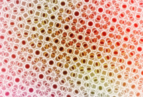 Светло Розовый Зеленый Вектор Искушают Кругами Абстрактная Иллюстрация Цветными Пузырями — стоковый вектор