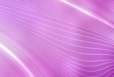 Açık Pembe vektör soyut parlak arkaplanı bulanıklaştırdı. Gradyan ile modern soyut çizim. Tasarımının yeni yolu.