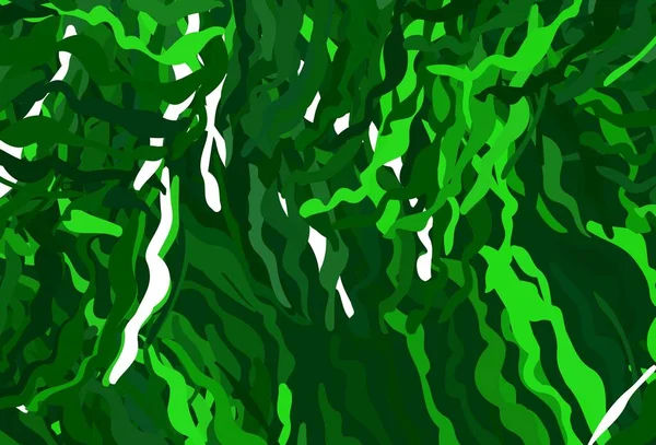 Layout Vetorial Verde Escuro Com Linhas Iradas Uma Ilustração Colorida — Vetor de Stock