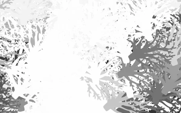 Ελαφρύ Γκρι Διάνυσμα Κομψό Μοτίβο Φύλλα Κλαδιά Αφηρημένη Εικόνα Φύλλα — Διανυσματικό Αρχείο