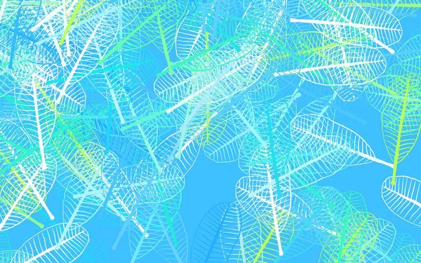 Light Blue Green Vector Doodle Background Leaves Leaves Elegant Natural — Stockvektor