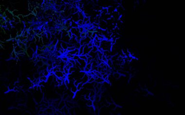 Koyu mavi, yapraklı, dallı yeşil vektör şablonu. Yapraklar ve dallarla karalama tarzında renkli çizimler. Tasarımınız için yeni şablon.