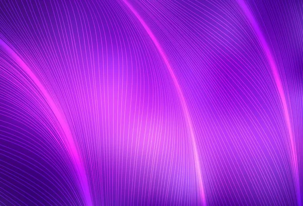 Světle Fialové Růžové Vektorové Pozadí Zakřivenými Čarami Elegantní Jasná Ilustrace — Stockový vektor