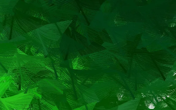 Tmavě Zelené Vektorové Uspořádání Přímkami Barevné Zářící Ilustrace Čárami Abstraktní — Stockový vektor