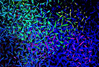 Koyu mavi, parlak çizgili yeşil vektör arkaplan. Bulanık arkaplanda gradyanı olan çizgiler. Reklam, kitapçıklar, broşürler için desen.