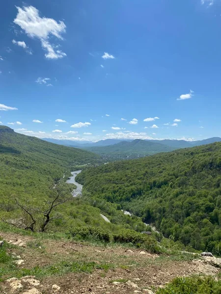 Boven op de heuvel. Geweldige klif foto. Prachtig landschap en uitzicht. Groene bergen en natuurbossen — Stockfoto