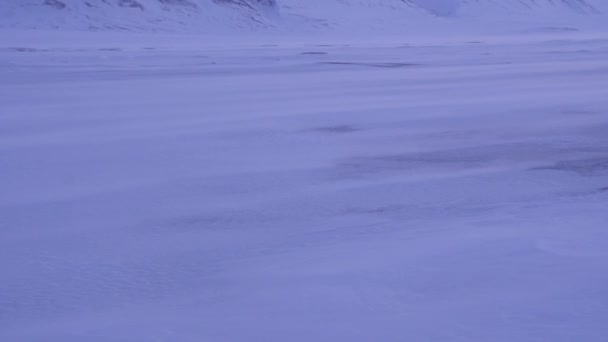 Derin Svalbard kışında kar fırtınası. — Stok video