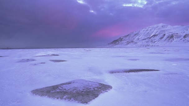 Inverno em Svalbard. Tempestade de neve gelada. Fluxo de neve no gelo. — Vídeo de Stock