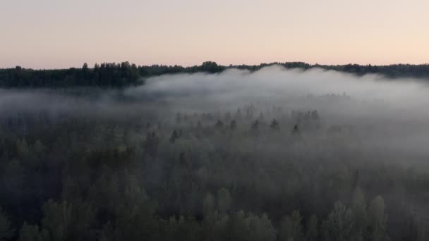 Hoge vlucht over de dikke zomerochtendmist. Luchtdrone zicht. — Stockvideo