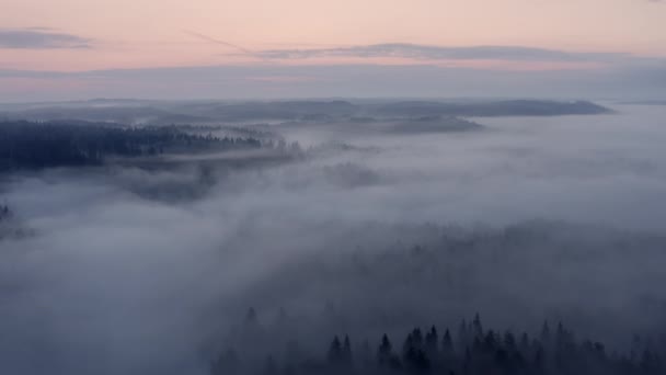 Vysoký let nad hustou letní ranní mlhou. Zobrazení leteckých dronů. — Stock video