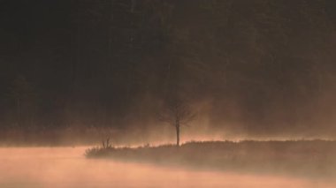 Sabahın köründe, bataklık gölünün üzerinde sisli bir sis..