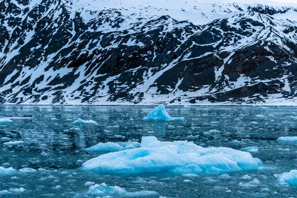 Kuzey Norveç 'te buzdağlarıyla denizde yüzen mavi buzdağları, Svalbard. 