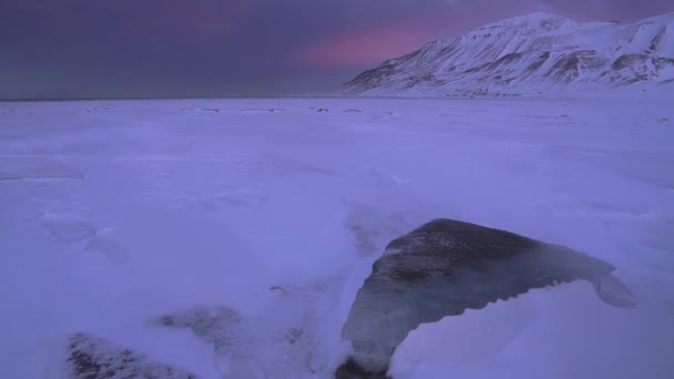 Sněhová bouře v hluboké zimě na Svalbardu. — Stock video
