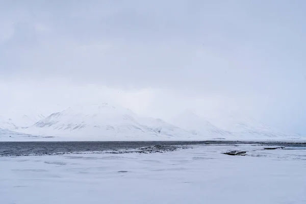 挪威斯瓦尔巴山脉、雪地和大海的蓝光时刻全景. — 图库照片