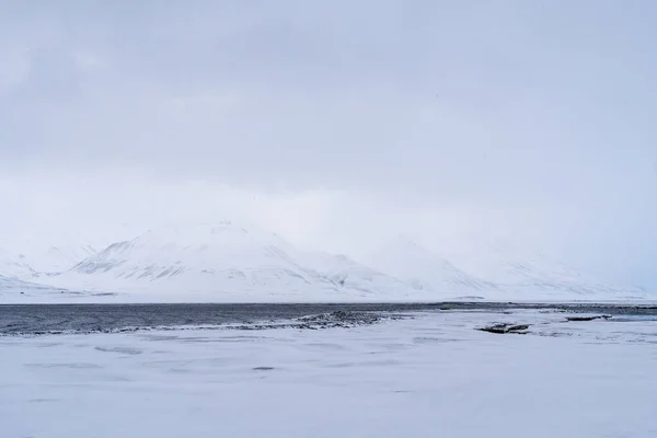 Panoramic view of Blue hour of the mountains, snow and Sea in Svalbard, Norway. — Photo