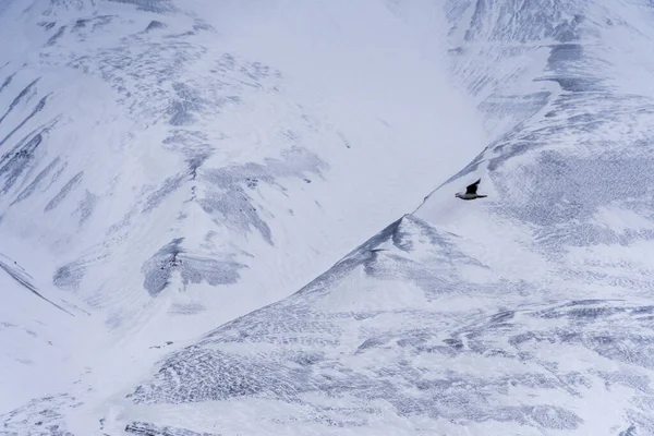 Close-up de uma montanha nevada. Textura da paisagem norte. Noruega, Svalbard. — Fotografia de Stock