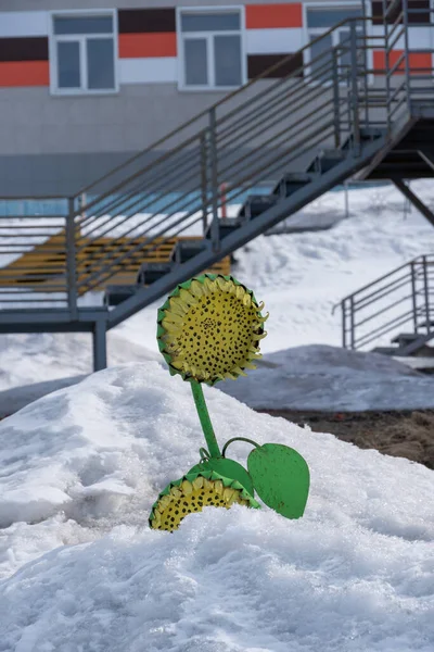 Decorative plastic sunflower in Russian city Barentsburg in the Svalbard. — Foto Stock