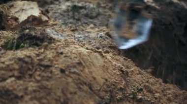 Bir asker çam ormanında siper kazıyor. Bir kürek ve kuma yakın çekim.