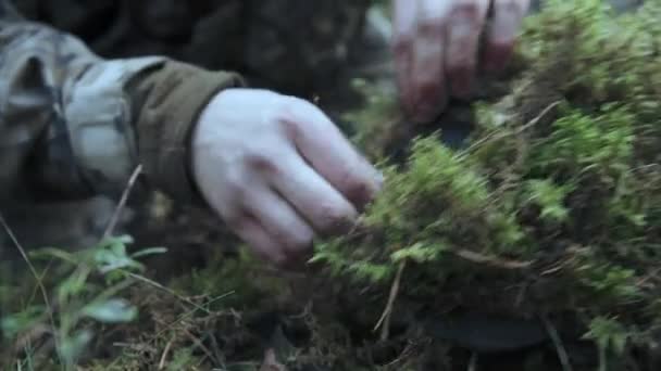 Żołnierz robi kamuflaż na hełm. W sosnowym lesie. Przygotowania do ataku — Wideo stockowe