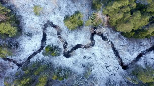 Lot dronem nad śnieżnym niekończącym się lasem w mroźny zimowy poranek. — Wideo stockowe