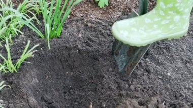 Yeşil lastik çizmeli bahçıvan çiçek tarhı kazıyor. Kürekle yavaş çekim videosu. Yavaş çekim videosu. Yüksek kaliteli FullHD görüntüler 