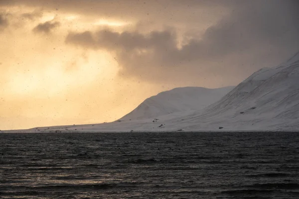 挪威斯瓦尔巴山脉 雪地和大海的黄金时代的全景 Isfjorden金色的天空和巨大的雪花 高质量的照片 — 图库照片