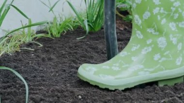 Yeşil lastik çizmeli bahçıvan çiçek tarhı kazıyor. Kürekle yavaş çekim videosu. Yavaş çekim videosu. Yüksek kaliteli FullHD görüntüler 
