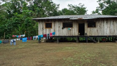 Bungalow - Amazon yağmur ormanlarındaki pansiyon, Yasuni Ulusal Parkı, Ekvador. Yüksek kalite fotoğraf