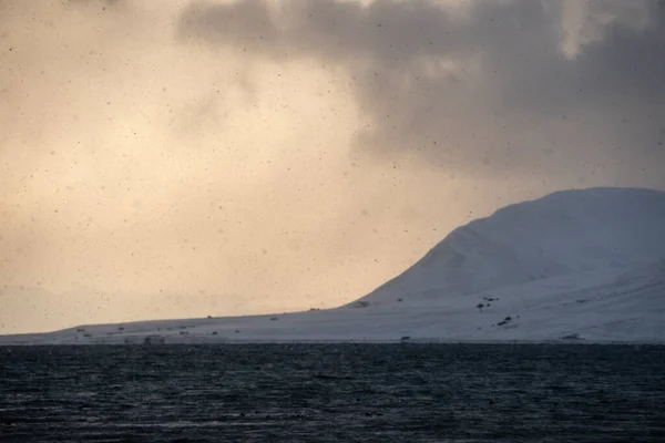 挪威斯瓦尔巴山脉 雪地和大海的黄金时代的全景 Isfjorden金色的天空和巨大的雪花 高质量的照片 — 图库照片