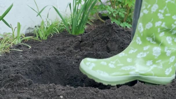 Jardinero Botas Goma Verde Cava Macizo Flores Grabado Cámara Lenta — Vídeo de stock