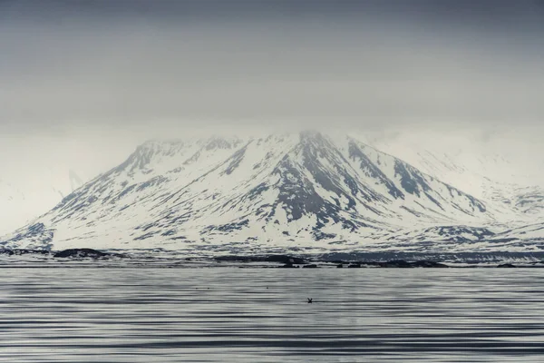 Panoramautsikt Över Blå Timme Landskap Svalbard Skärgård Med Havet Bergen — Stockfoto