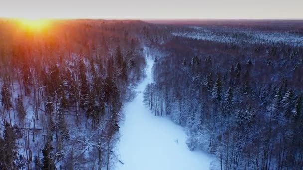 冬には果てしなく続く森の上を飛行する 雪の森と早朝と寒い冬の朝 赤い太陽がフレームに輝きます高品質4K映像 — ストック動画