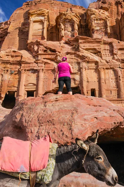 Petra, Ürdün 'deki Wadi Musa - Eski Petra' nın anıtsal dünya mirası ve eyerli yüksek kaliteli fotoğraflı Bedevi eşeği.