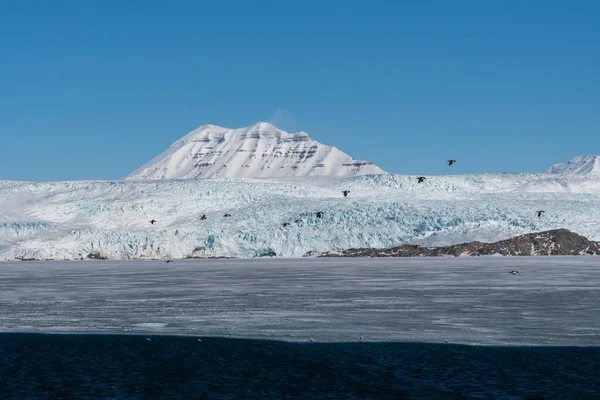 Σβάλμπαρντ Βουνά Και Φιόρδ Πανόραμα Νορβηγία Τοπίο Πάγο Φύση Των — Φωτογραφία Αρχείου