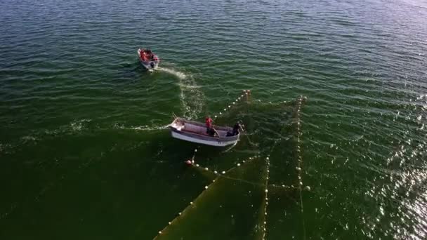 Luftaufnahme Der Ostsee Mit Den Fischfallen Und Fischern Die Ihren — Stockvideo