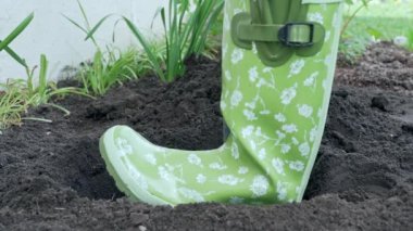 Yeşil lastik çizmeli bahçıvan çiçek tarhı kazıyor. Kürekle yavaş çekim videosu. Yavaş çekim videosu. Yüksek kaliteli FullHD görüntüler 
