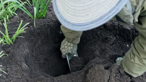 Gardener Digs Hole Hand Spade Planting Roses Slow Motion Video — ストック動画