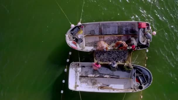 Letecký Pohled Baltské Moře Pastmi Ryby Rybáři Nakládají Své Úlovky — Stock video