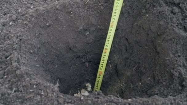 Gardening Measuring Bed Depth Ruler Black Earth Green Plants Slow — Stockvideo