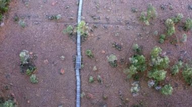 Ormanla çevrili bir bataklığın havadan görünüşü. Bataklıkta turist kaldırımı. Bataklıktaki hayvan izleri. Ormanda ve bataklıkta sonbahar renkleri. Yüksek kaliteli 4k ProRes görüntüleri.