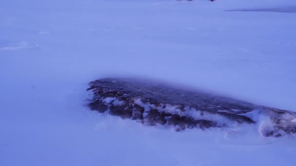 Зима Свальбарді Холодна Крижана Хуртовина Сніг Тече Льоду Дуже Сильний — стокове відео