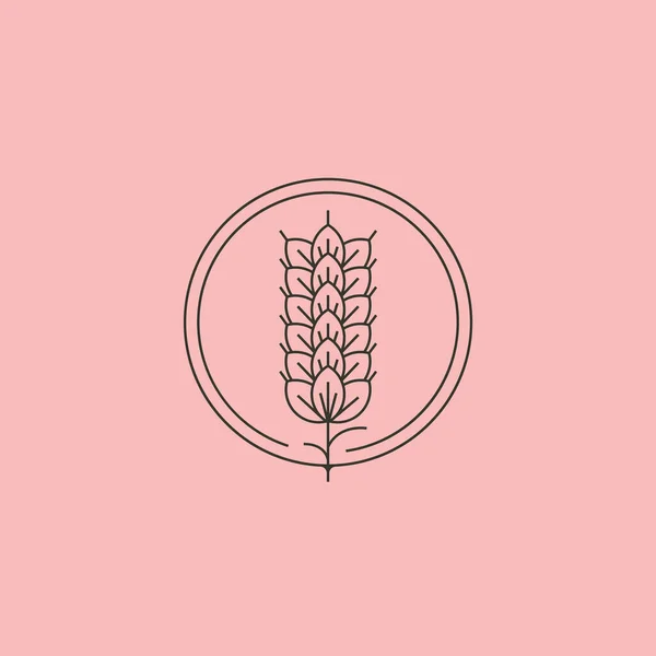 Дизайн Векторного Логотипа Иконки Пшеницы Рисунок Иконки Ячменя — стоковый вектор